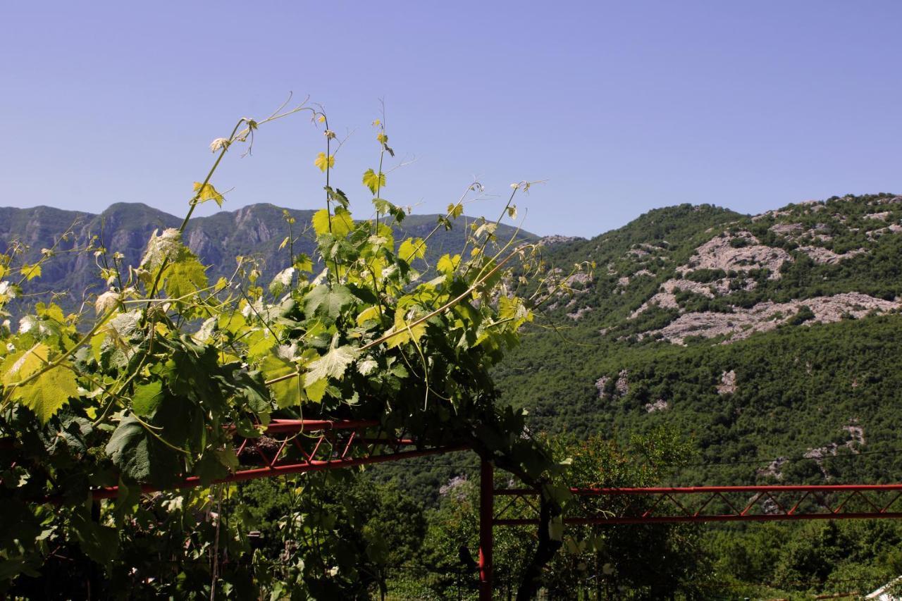 Holiday Home Gazevic Virpazar Exterior foto